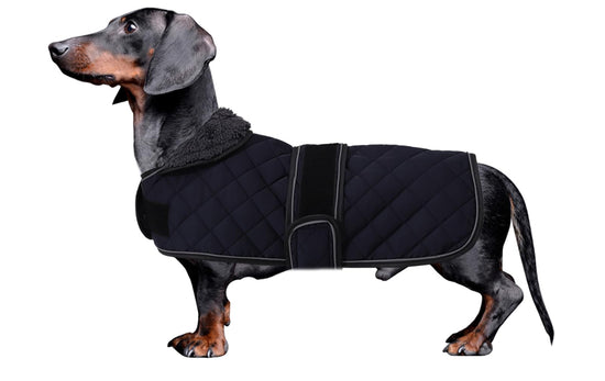 Morezi Dachshund Coats Dachshund Coat Coat